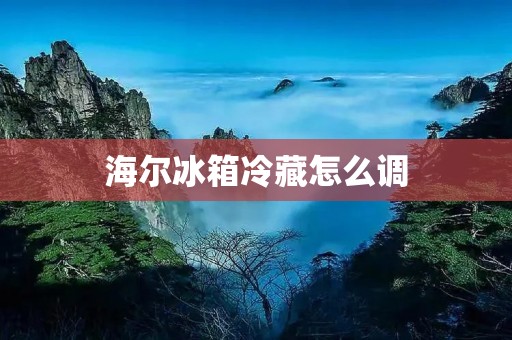 海尔冰箱冷藏怎么调：详细教程
