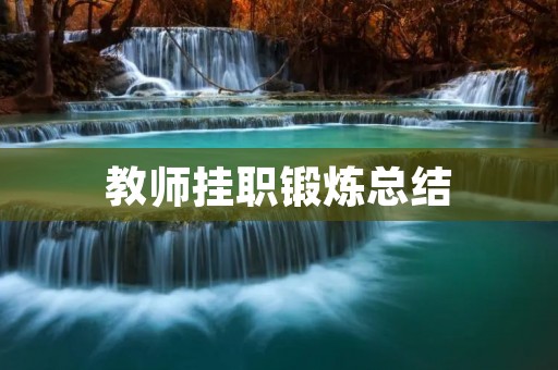教师挂职锻炼总结