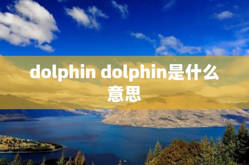 dolphin dolphin是什么意思