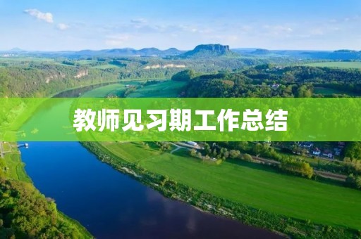 教师见习期工作总结