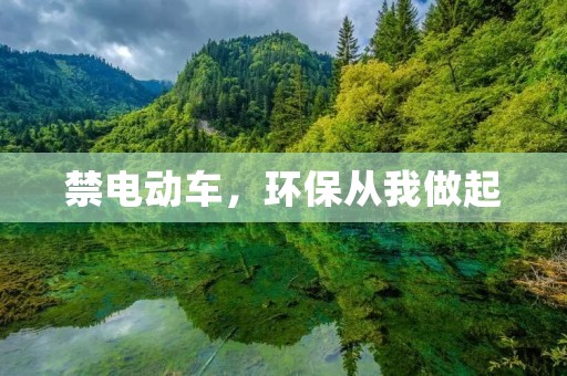 禁电动车,环保从我做起 禁电动车,环保从我做起
