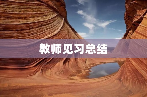 教师见习总结:从教学实践中成长