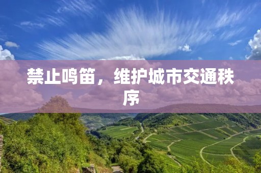禁止鸣笛,维护城市交通秩序 禁止鸣笛,维护城市交通秩序