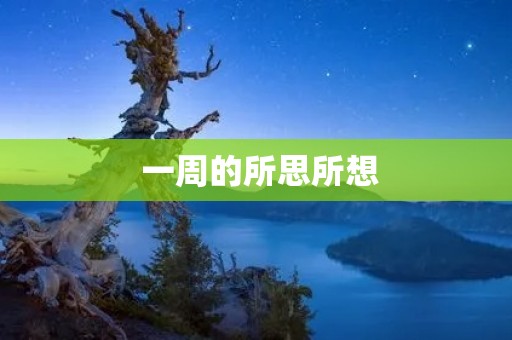 一周的所思所想 一周的所思所想