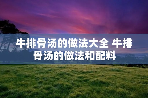牛排骨汤的做法大全 牛排骨汤的做法和配料