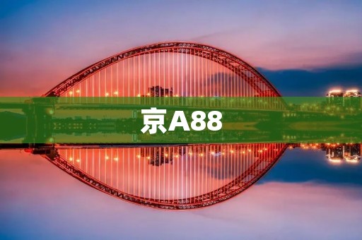京A88:一辆豪华轿车的背后故事 京A88:一辆豪华轿车的背后故事