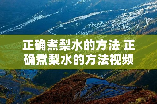 正确煮梨水的方法 正确煮梨水的方法视频