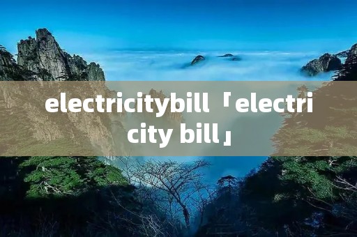 electricitybill「electricity bill」