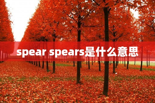 spear spears是什么意思