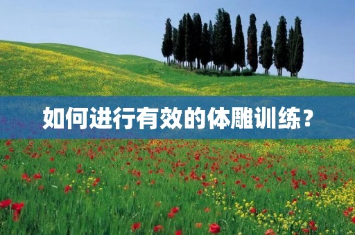 如何进行有效的体雕训练？