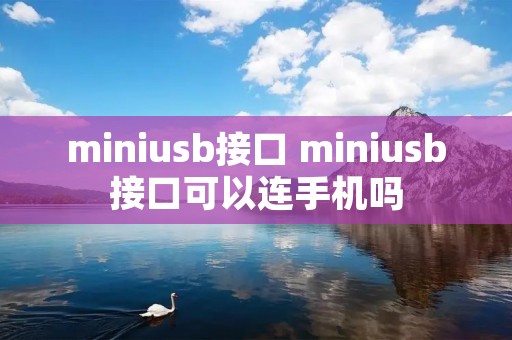 miniusb接口 miniusb接口可以连手机吗