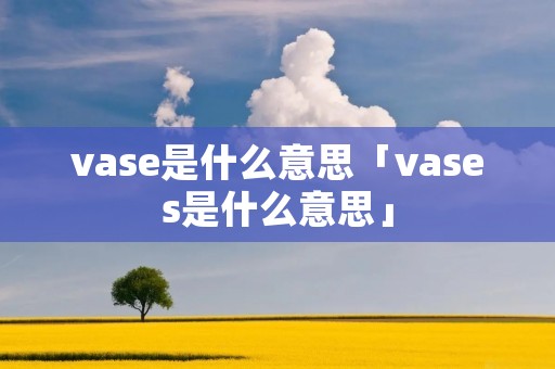 vase是什么意思「vases是什么意思」
