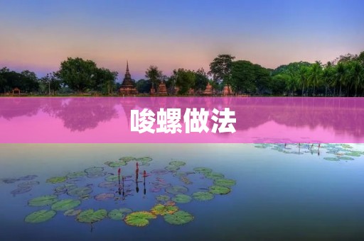 唆螺做法：如何做出美味的唆螺？