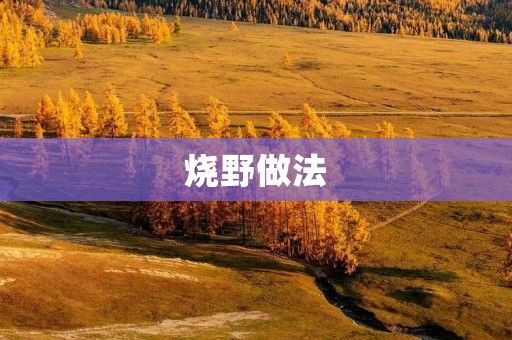 烧野做法：传承千年的美食文化