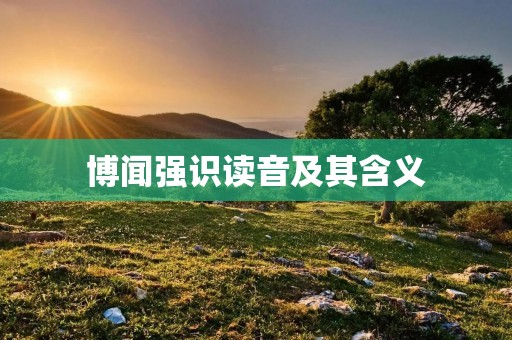 博闻强识读音及其含义