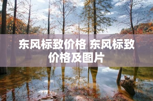 东风标致价格 东风标致价格及图片