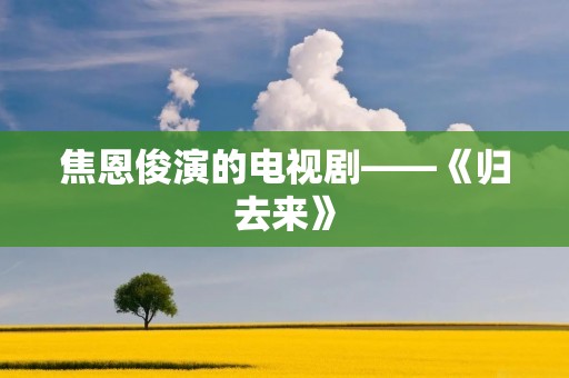 焦恩俊演的电视剧——《归去来》