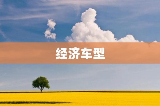 经济车型:为什么选择它们? 经济车型:为什么选择它们?