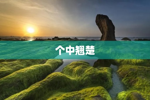 个中翘楚:揭秘中国高科技企业的成功之路 个中翘楚:揭秘中国高科技企业的成功之路