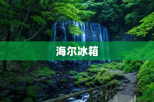 海尔冰箱：如何选择最适合你的型号？