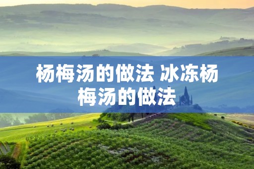 杨梅汤的做法 冰冻杨梅汤的做法