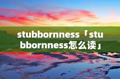 stubbornness「stubbornness怎么读」