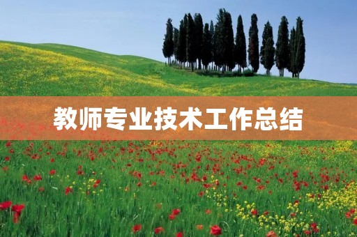 教师专业技术工作总结