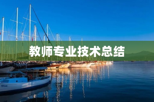教师专业技术总结