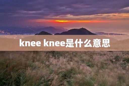 knee knee是什么意思