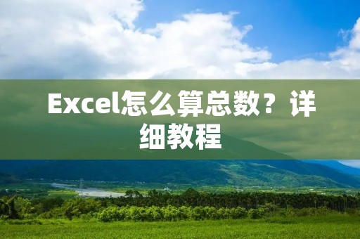 Excel怎么算总数?详细教程 Excel怎么算总数?详细教程