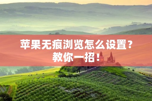 苹果无痕浏览怎么设置？教你一招！