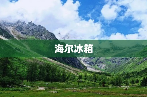 海尔冰箱：一线品牌的代表