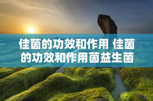 佳茵的功效和作用 佳茵的功效和作用茵益生菌