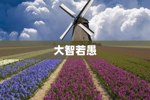 大智若愚:智者的谦虚和谨慎