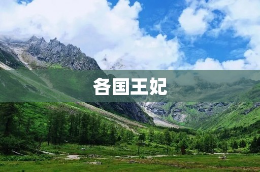 各国王妃：历史与现实