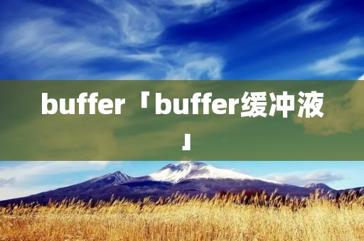 buffer「buffer缓冲液」