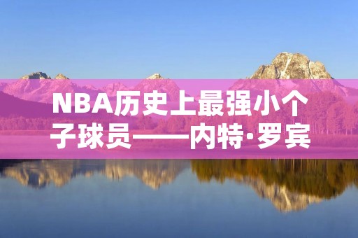 NBA历史上最强小个子球员——内特·罗宾逊