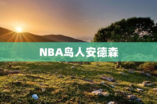 NBA鸟人安德森：从篮球场上的传奇到人生的逆境