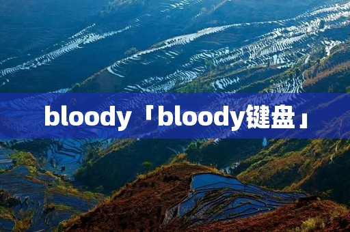 bloody「bloody键盘」