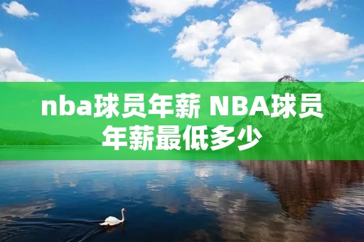 nba球员年薪 NBA球员年薪最低多少