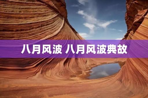 八月风波 八月风波典故