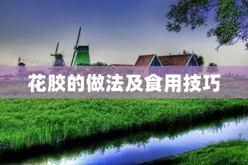 花胶的做法及食用技巧