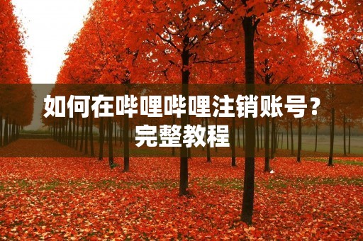 如何在哔哩哔哩注销账号?完整教程 如何在哔哩哔哩注销账号?完整教程