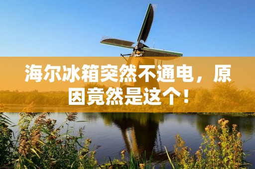 海尔冰箱突然不通电，原因竟然是这个！