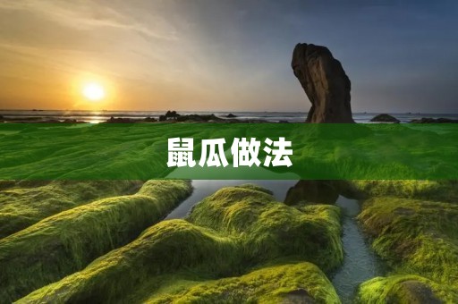 鼠瓜做法:传统美味,家常好味 鼠瓜做法:传统美味,家常好味