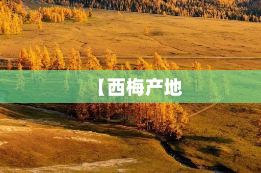 【西梅产地:从南方到北方的美味旅程】