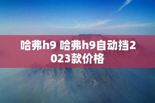 哈弗h9 哈弗h9自动挡2023款价格