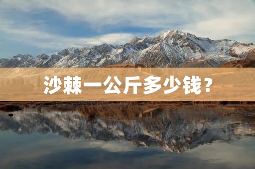 沙棘一公斤多少钱?