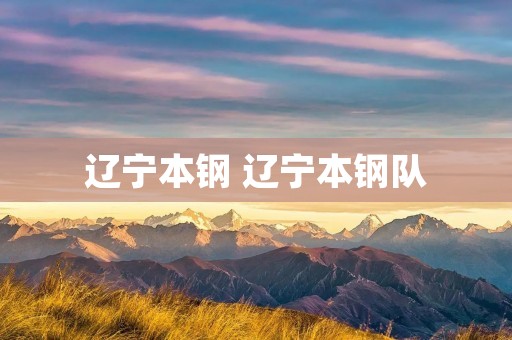 辽宁本钢 辽宁本钢队