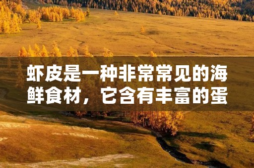 虾皮是一种非常常见的海鲜食材，它含有丰富的蛋白质和营养物质，是很多菜品中不可或缺的一部分。